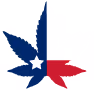 Texas 420 case study cover image