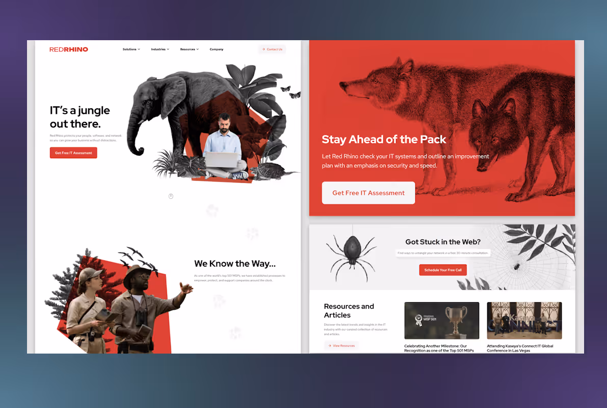 Red Rhino gallery image 4