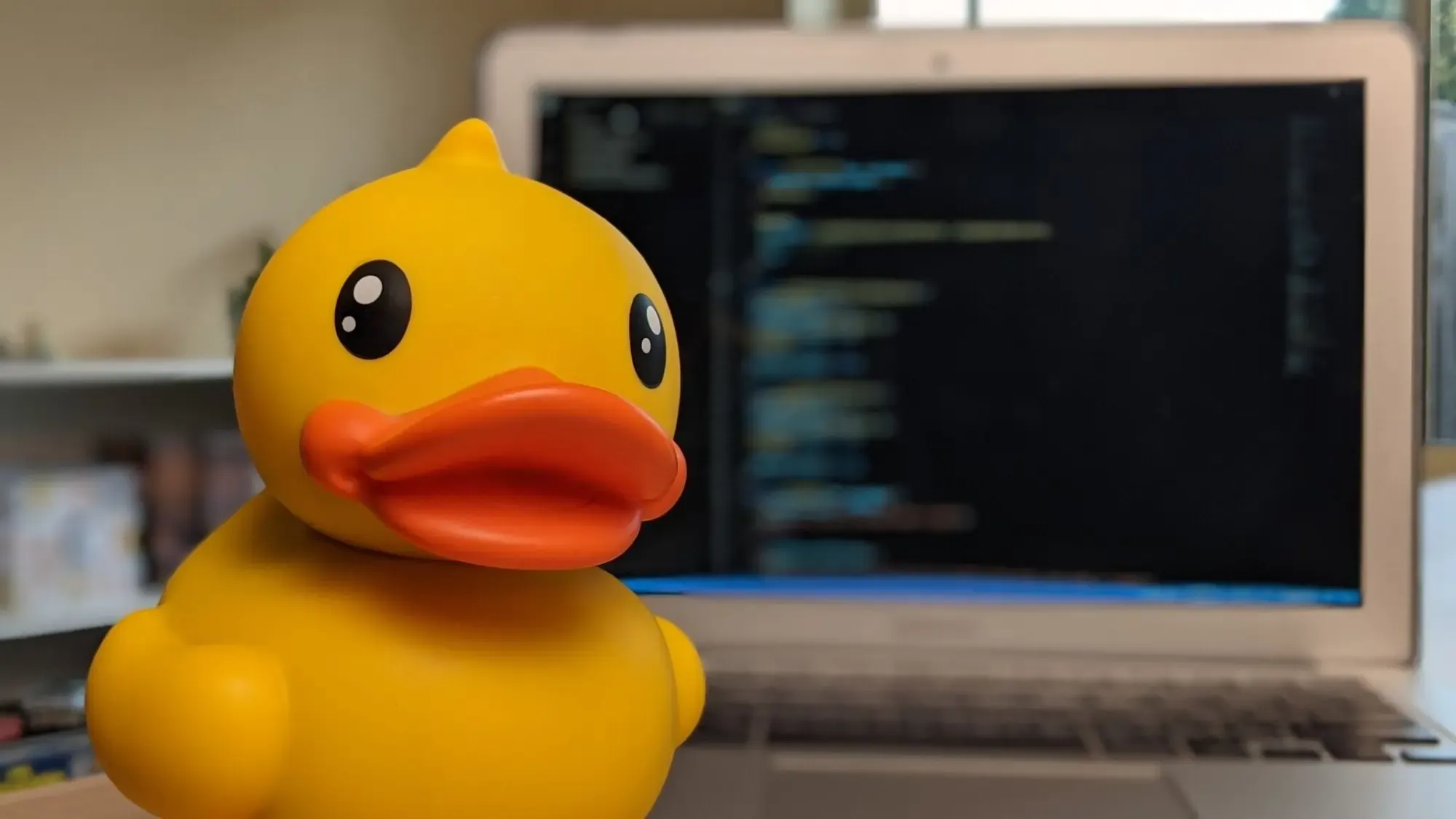 Rubberducking, an old but gold way to problem solving