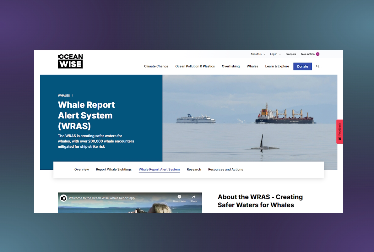Ocean.org gallery image 3