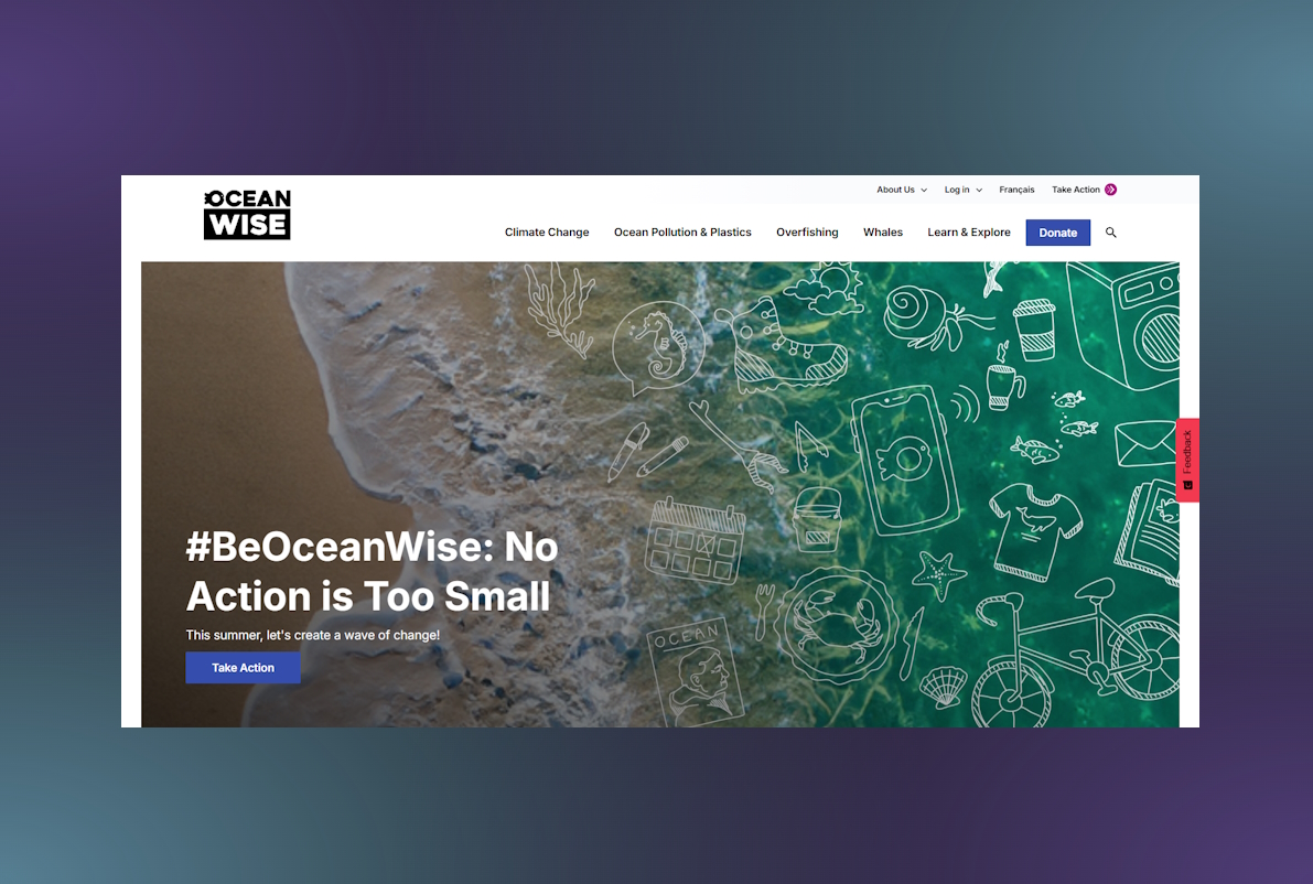 Ocean.org gallery image 1